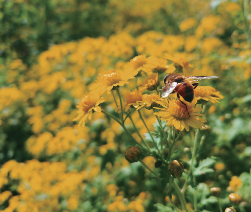 3870c1b0f15a7ebd4fa94bba8383941f_1773040178_38.jpg 3870c1b0f15a7ebd4fa94bba8383941f_1773040178_38.jpg