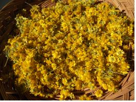 산푭 클 .jpg