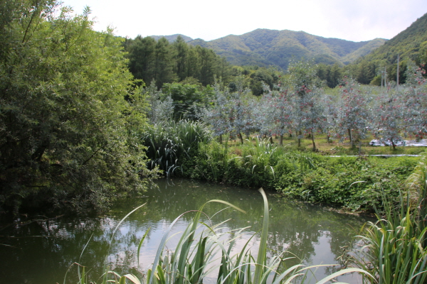 크???-사탼 ?뱩?.JPG