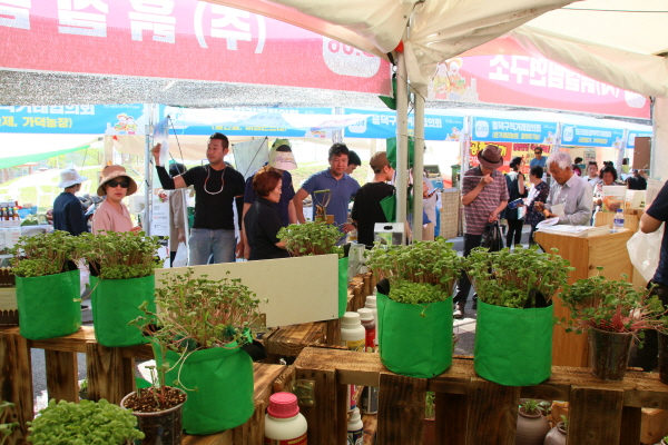 크? ??2죜 퓸큜?.JPG