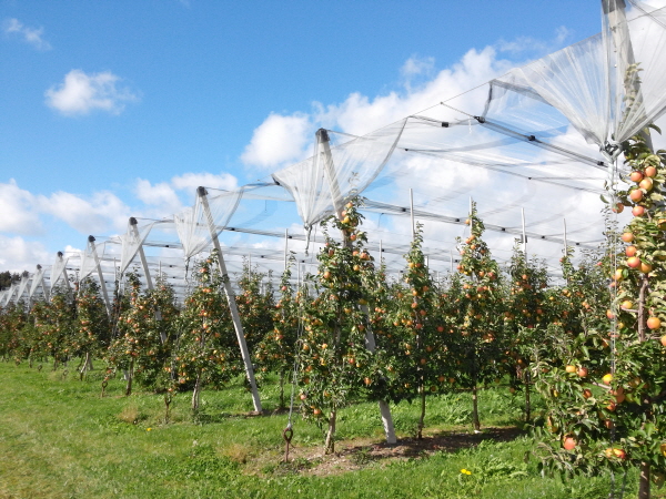 사?2.사탼 킽.jpg