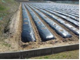 쁐쁑 퓌샤? 상? 됓? 100쐼? ?탨 60쐼?.jpg