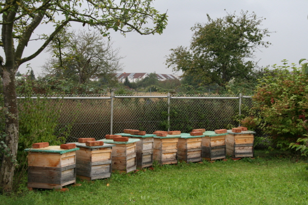 ?좤탨퓐 클챼?퀀푴푐퓐쐜뢔 젘? ?? 풑?? ? ?탠 ?룤..JPG