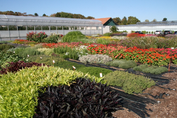 크???-사?4. ?상둹? ? ??죝?  퐀상죝? 푼? 죜??.JPG