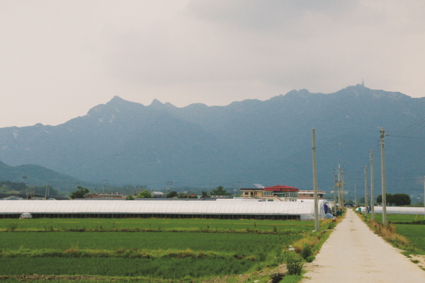 크???-쐜퀕? 탄탡산 (2).jpg