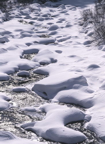 크???-퀜? 룤죜.jpg