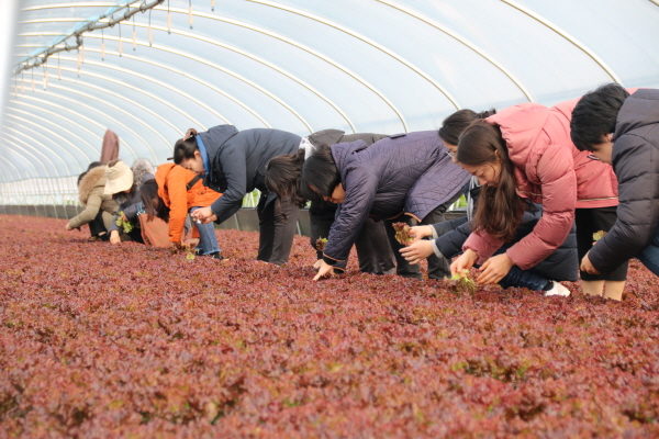 ??챽 상? 젘???.JPG