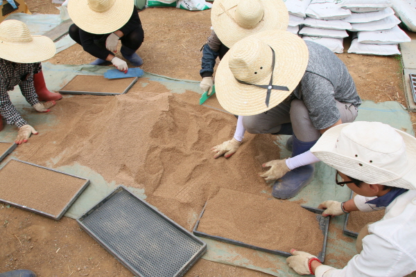 ?? ???? ≫o¿C???.JPG