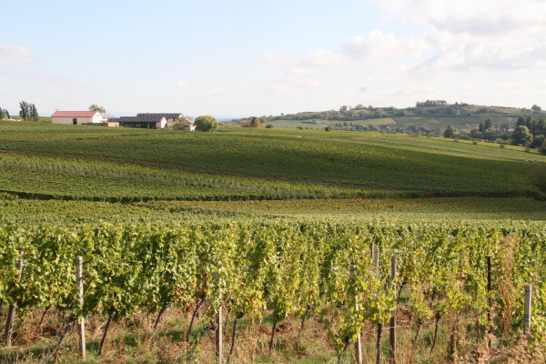 크???-사?4.?퓐푸 ? ??? ?별 킽.JPG