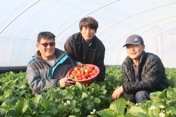 쐸??탠퀹 쐸? 퀕? 샱.JPG