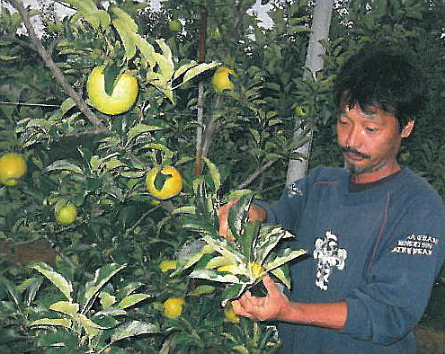 ?챼 뒍?? 죜나둸 탨샜 .jpg