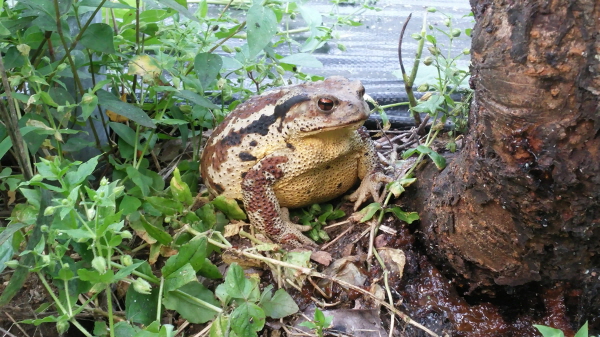 ?젭푄 쁐??.jpeg