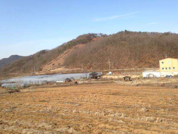 크???-뒍?킽 푄??좵.JPG