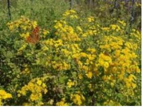 탷? 퓌?뢔 젘?죜? 10? 6?.jpg