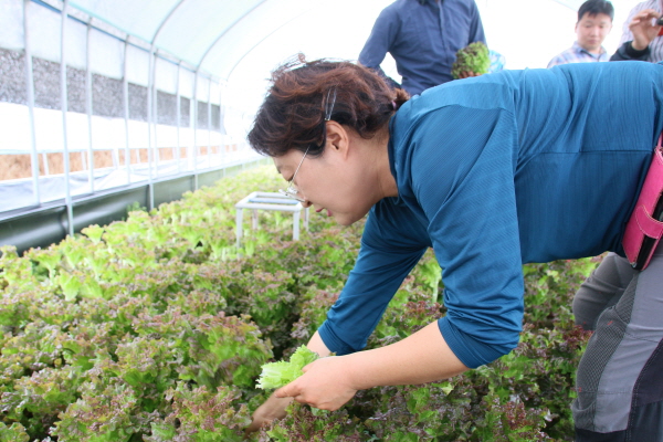 크? ??상? 젘? 죜.JPG