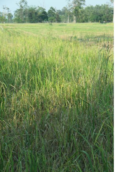 풵뒍퓅 ??? 둼.jpg