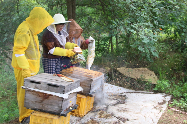 크? ?? ?젘젘죠?? ? ?퓰3.JPG