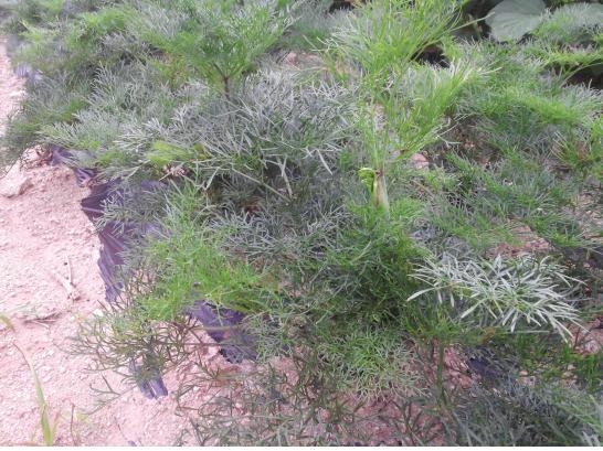 7? 22? 생? 상? ?밀퀀 나?뢔 ?.jpg