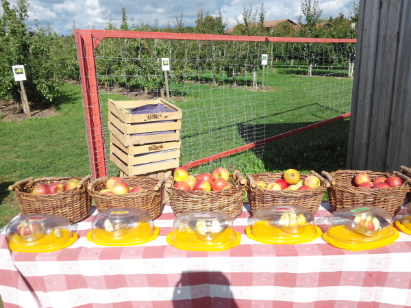 사?3.룤풑? ? 사탼.jpg