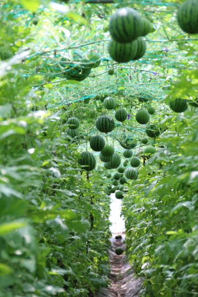 크???-푠? 젘.JPG