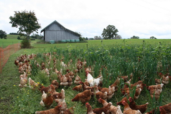 사?1.퓐 사쀜 룭샤.JPG