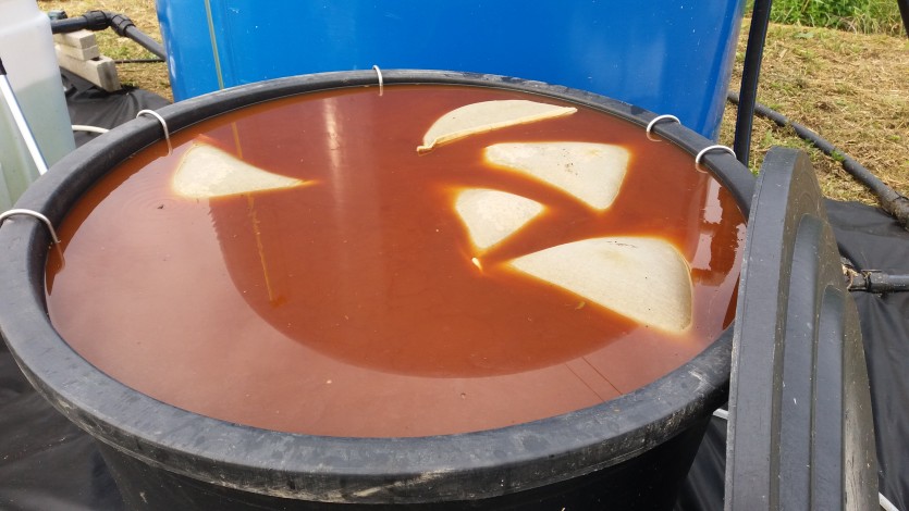 20190704_171940 ?≫y? ?Ao ¿???_¿???¾?¿? ?o?¾?.jpg